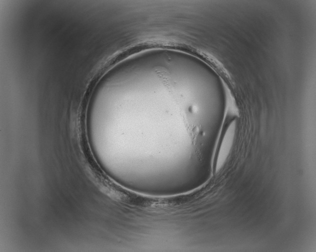 X0000083000487200702160053