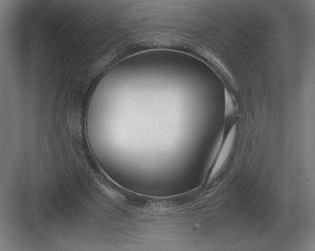 X0000083000489200702160053