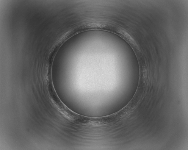 X0000083000490200702160053