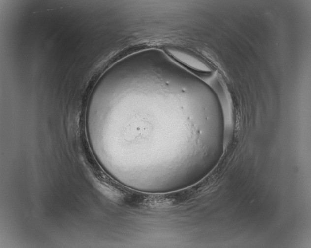 X0000083000491200702160053