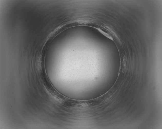 X0000083000492200702160053