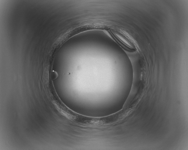 X0000083000493200702160053