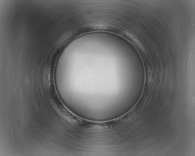 X0000083000494200702160053