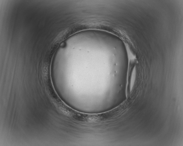 X0000083000495200702160053