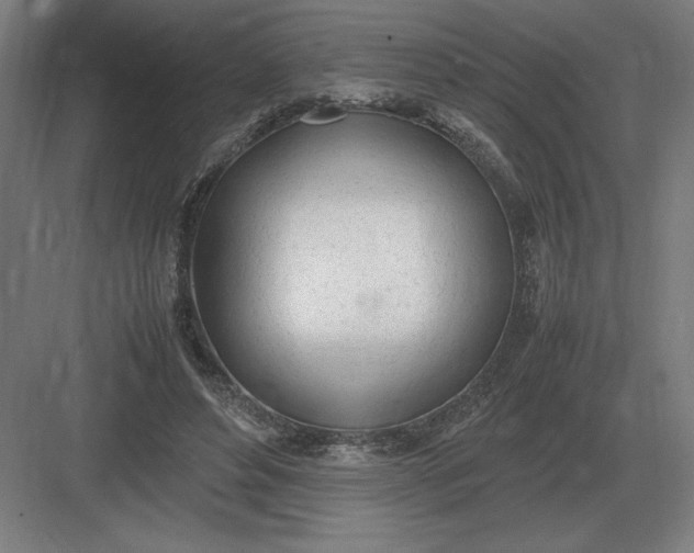 X0000083000496200702160053