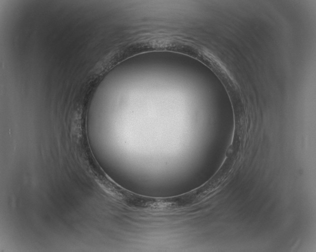 X0000083000497200702160053