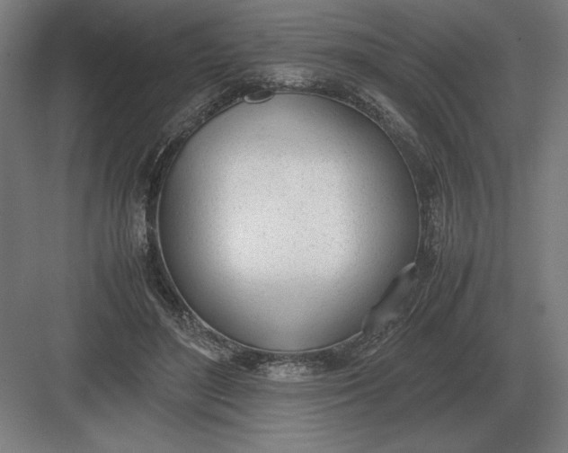 X0000083000500200702160053