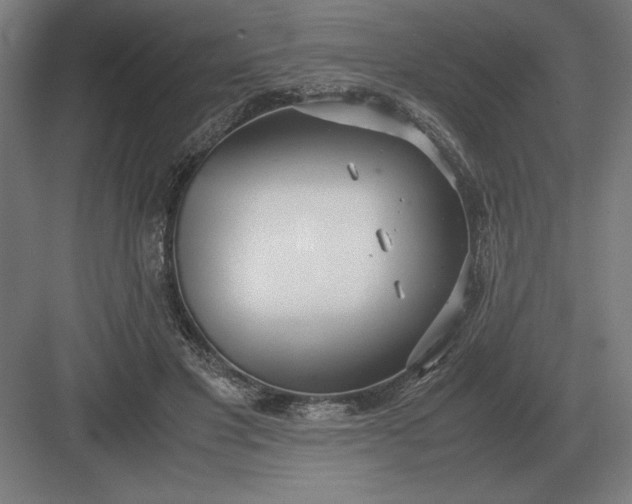 X0000083000501200702160053