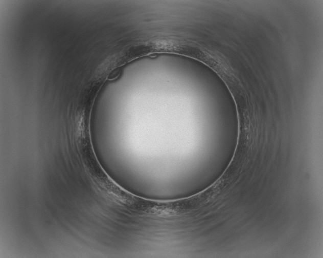 X0000083000502200702160053