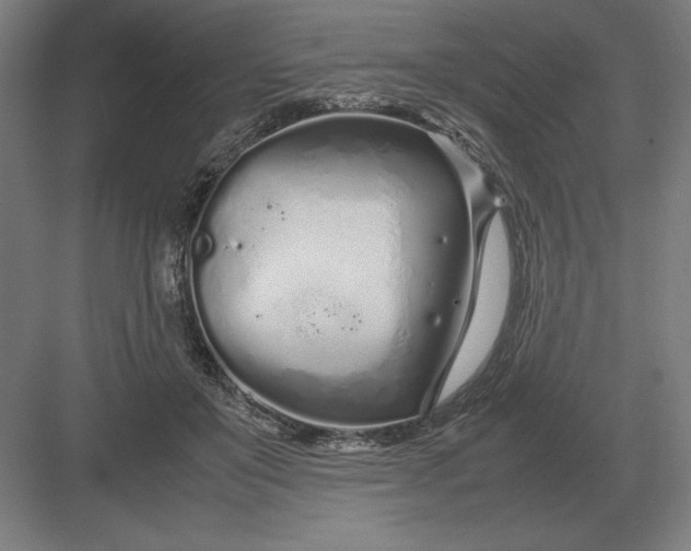 X0000083000503200702160053