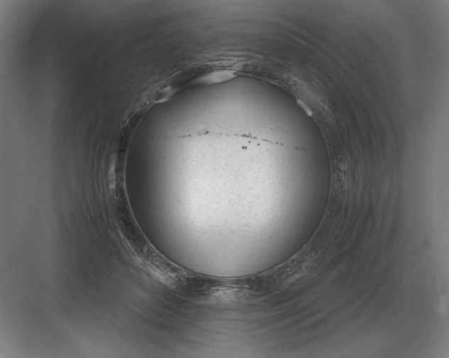 X0000083000504200702160053