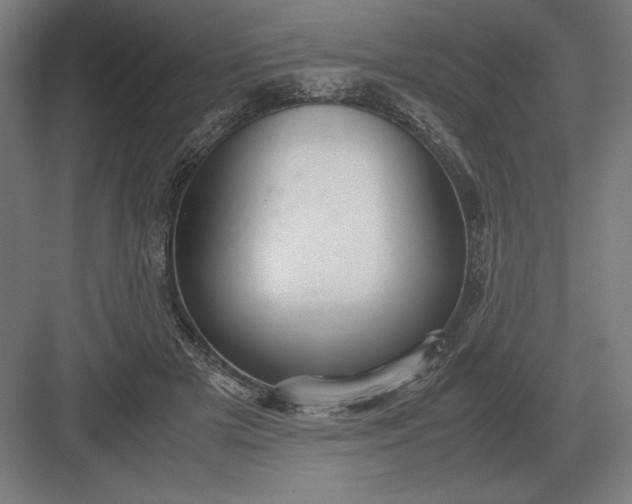 X0000083000505200702160053