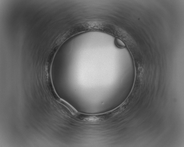 X0000083000506200702160053