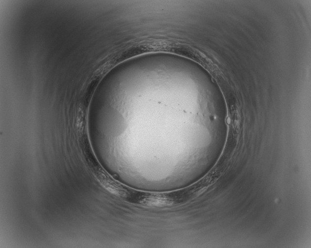 X0000083000507200702160053