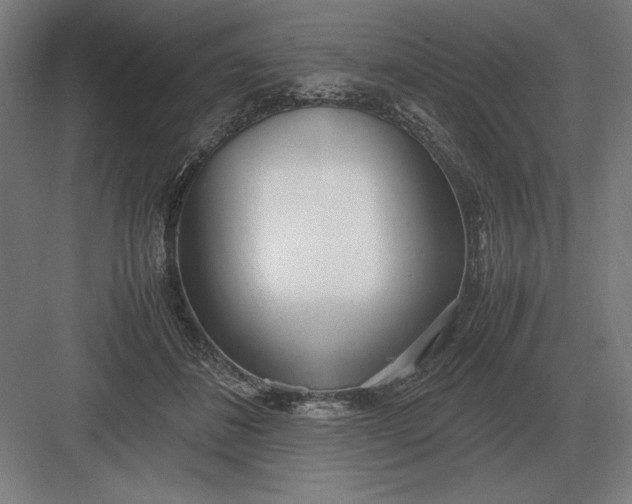 X0000083000508200702160053