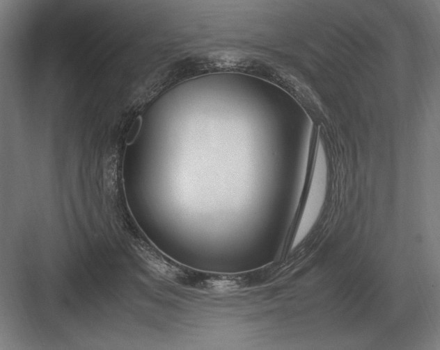 X0000083000509200702160053