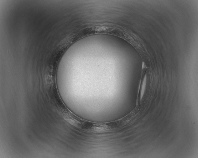 X0000083000510200702160053