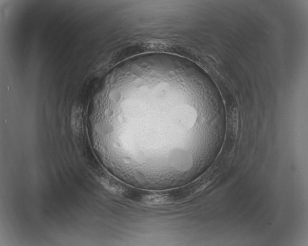 X0000083000511200702160053