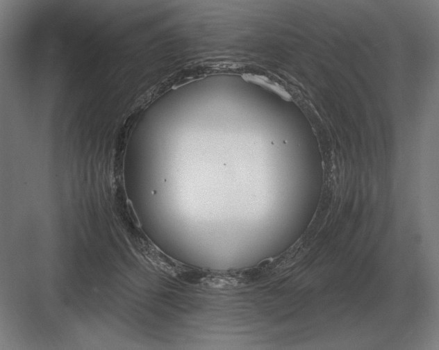 X0000083000512200702160053