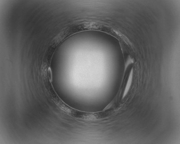 X0000083000513200702160053