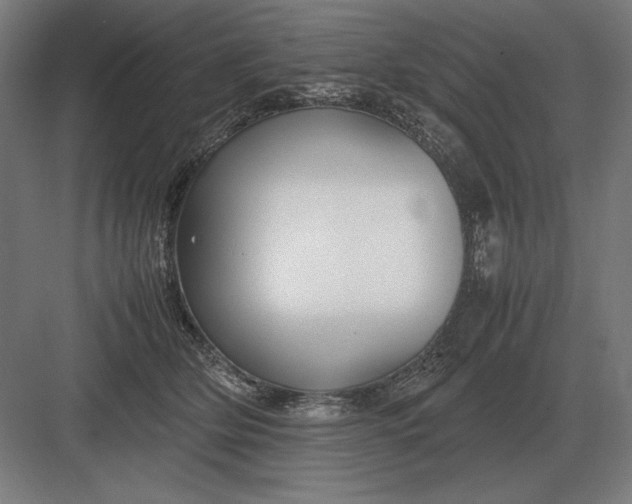 X0000083000514200702160053