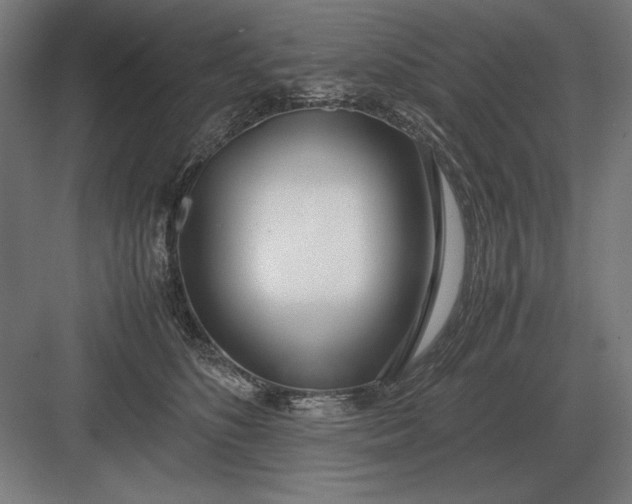 X0000083000516200702160053