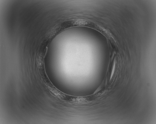 X0000083000517200702160053