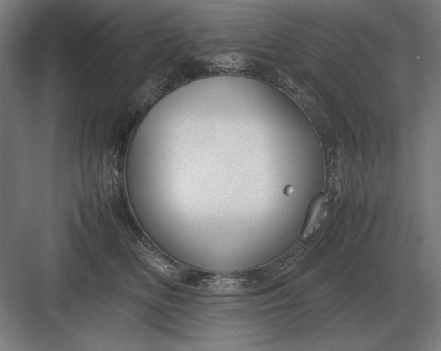 X0000083000518200702160053