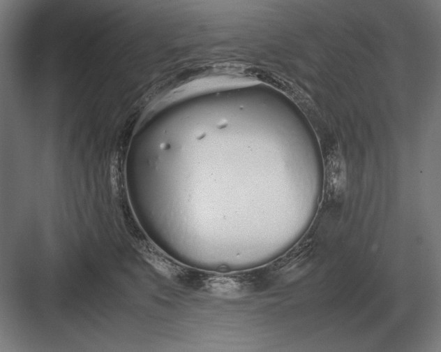 X0000083000519200702160053