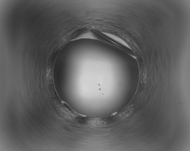 X0000083000521200702160053