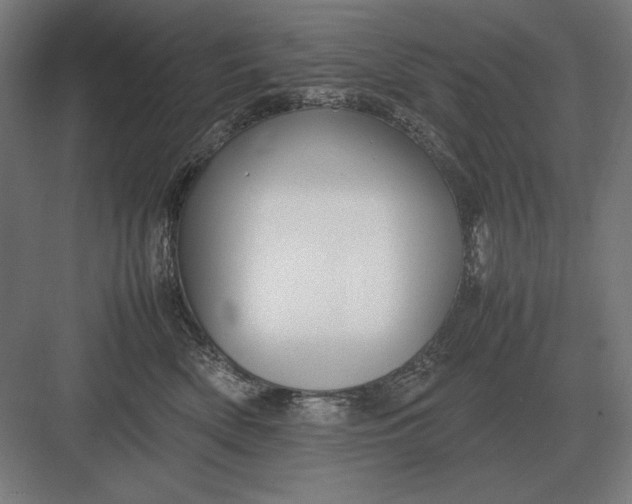 X0000083000522200702160052