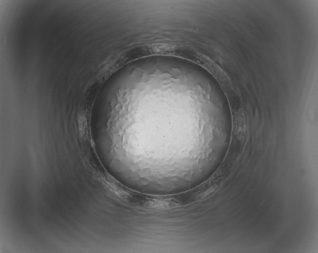 X0000083000523200702160052