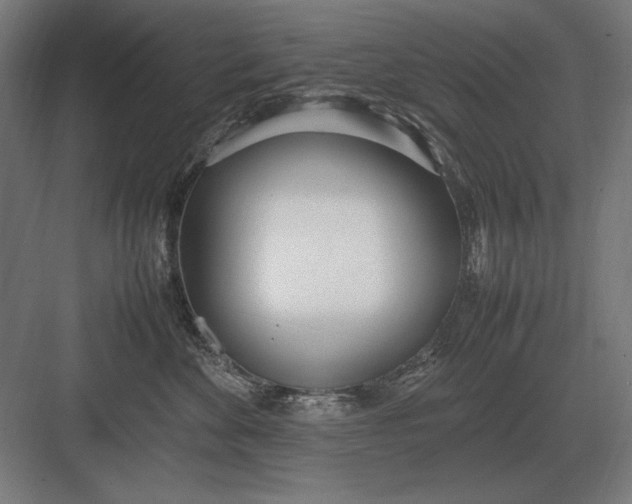 X0000083000524200702160052