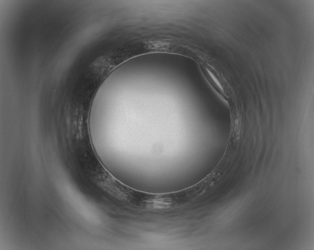 X0000083000525200702160052