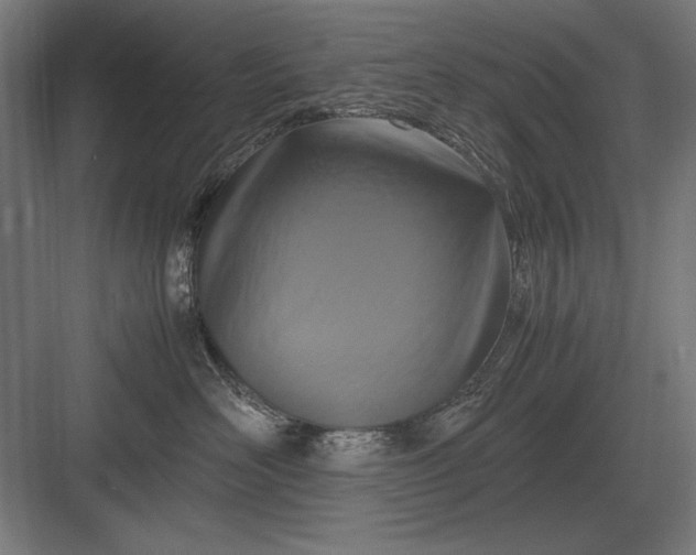 X0000083000526200702160052