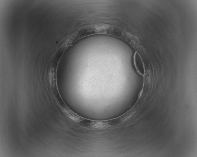 X0000083000527200702160052