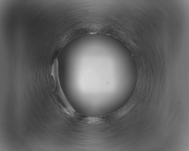 X0000083000528200702160052