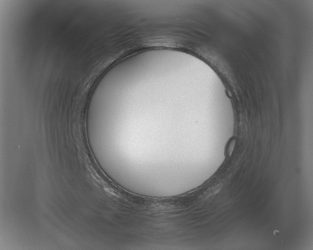 X0000083000529200702160052