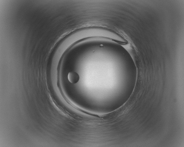 X0000083000530200702160052