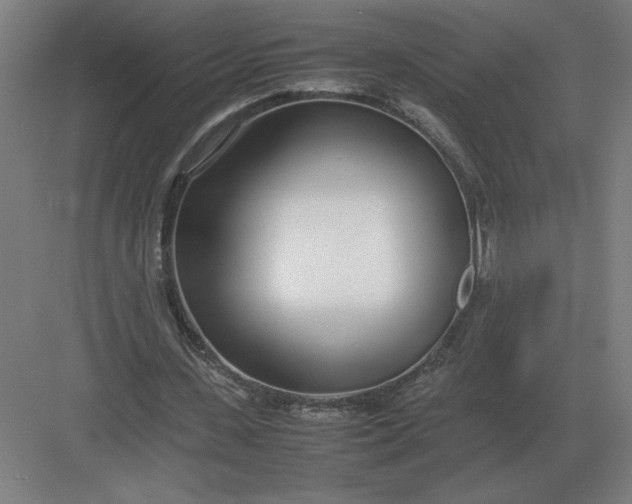 X0000083000531200702160052