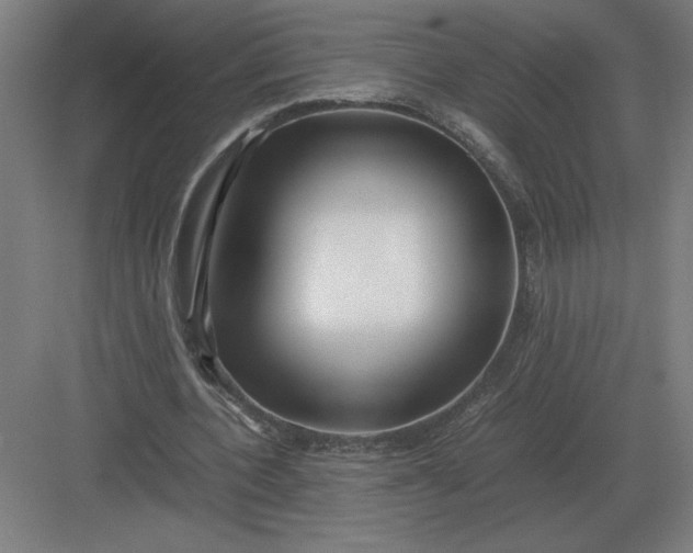 X0000083000532200702160052