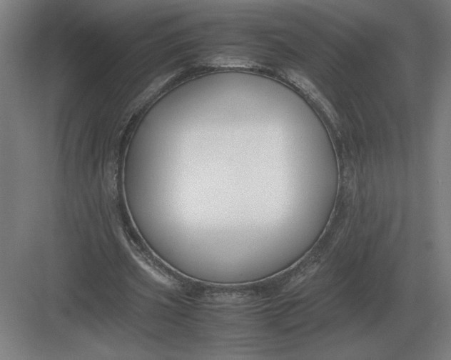 X0000083000533200702160052