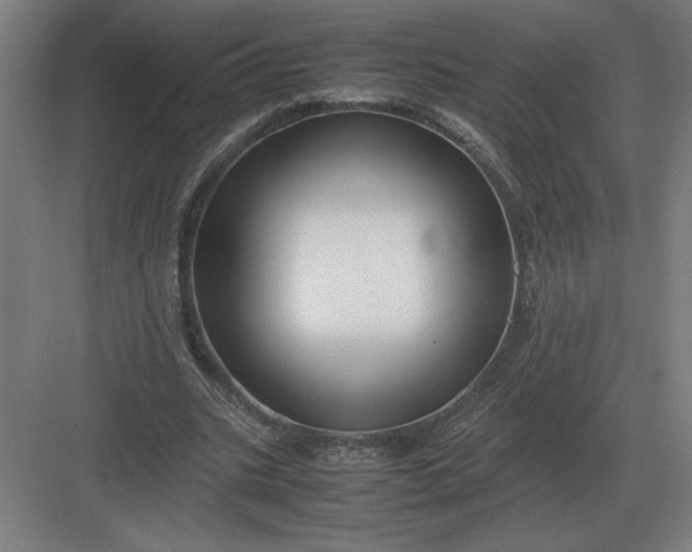 X0000083000535200702160052