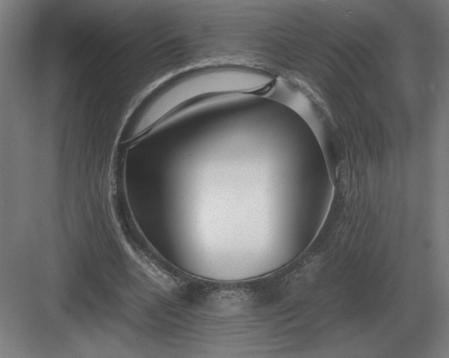 X0000083000536200702160052