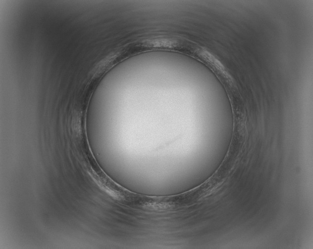 X0000083000537200702160052