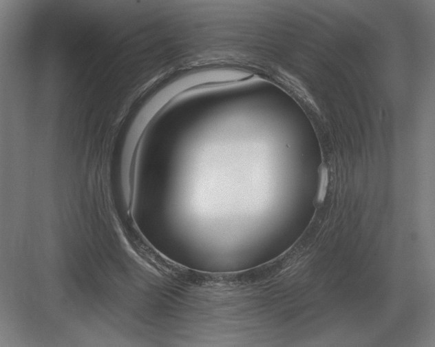 X0000083000538200702160052