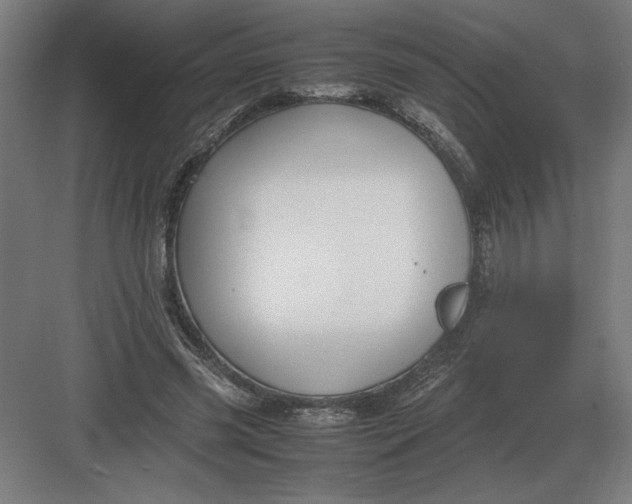 X0000083000541200702160052