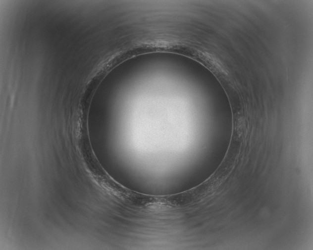 X0000083000544200702160052