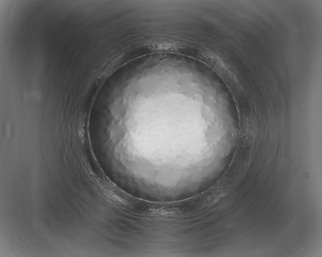 X0000083000545200702160052