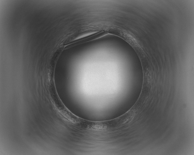 X0000083000546200702160052